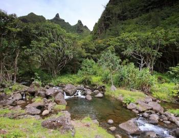Limahuli Garden in Kauai