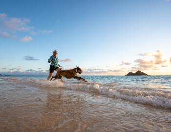 human and dog on beach in hawaii