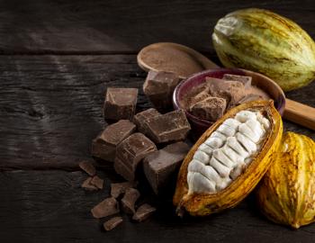 Kauai Chocolate Farm Tour