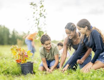 Hawaii Volunteer program