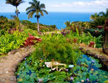 mcbride tropical garden