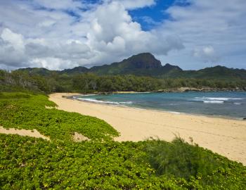 mahaulepu