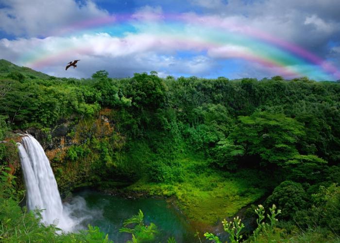 Waterfall in Kauai With Rainbow and Bird Overhead.
