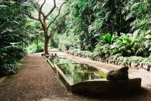 tropical botanical garden kauai