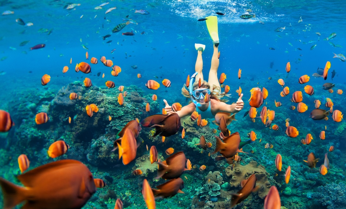 A woman snorkeling with fish.