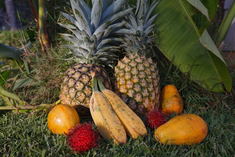 farmer's market fruits