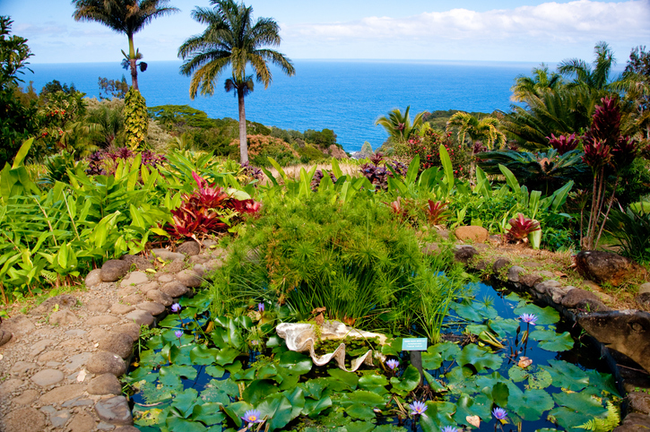 botanical garden hawaii