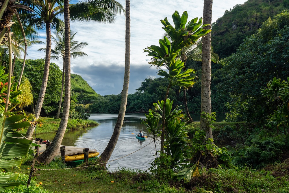 kayaking Wailua River Kauai
